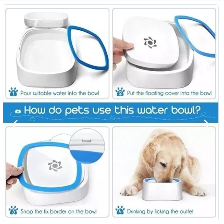 Bowl Antisplash Para Tus Mascotas