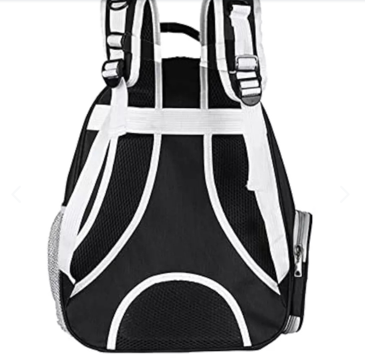 Mochila Estilo Espacial Para Mascotas